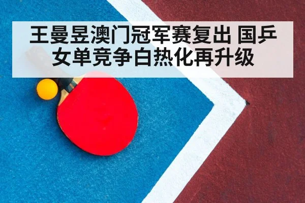 table tennis match court
